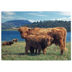 Made up: Highlanders – 1000 Piece Jigsaw Puzzle (House of Puzzles)