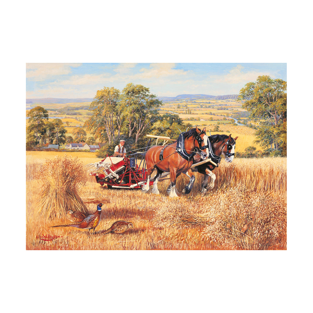 Harvest Time – 1000 Piece Jigsaw Puzzle (HOP)