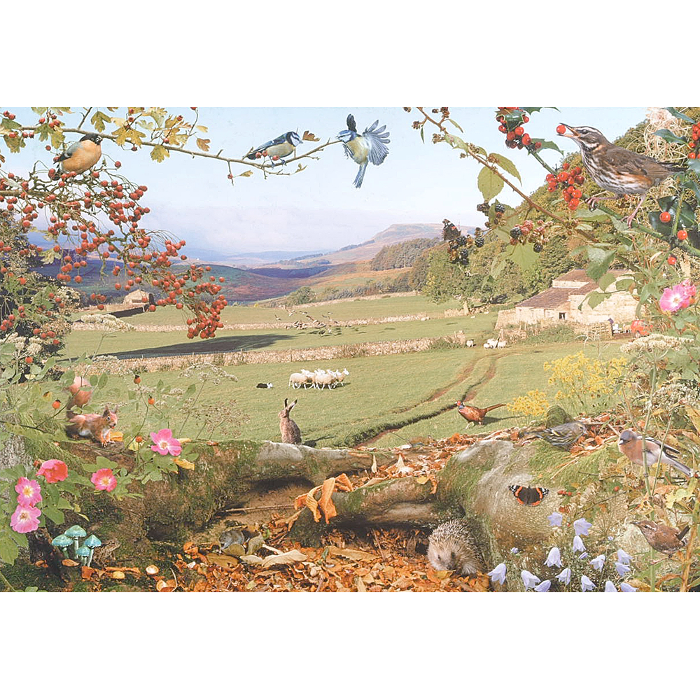 HOP - Down In The Valley - 1000 Piece Jigsaw Puzzle