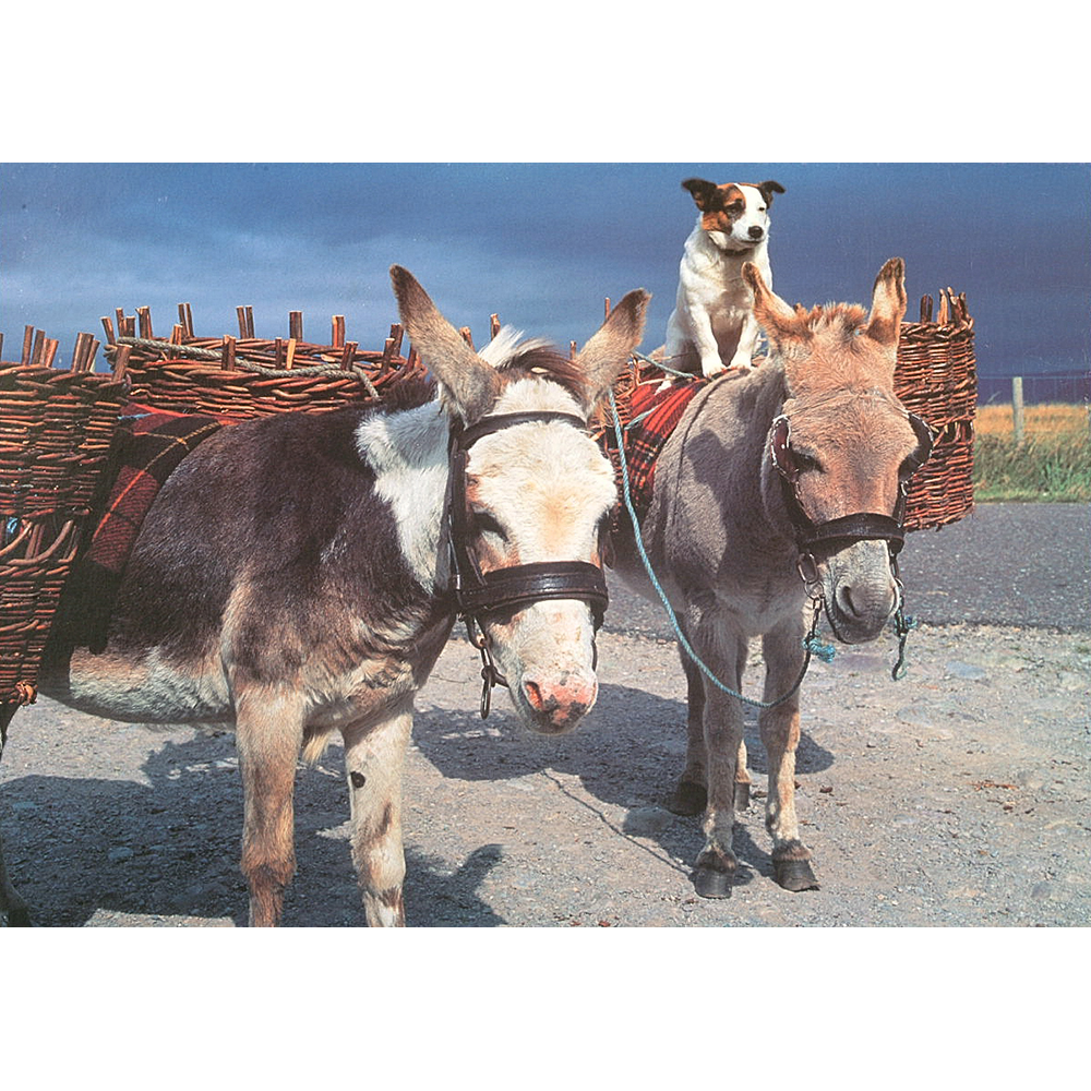 Road to Connemara – 500 Piece Jigsaw Puzzle (HOP)