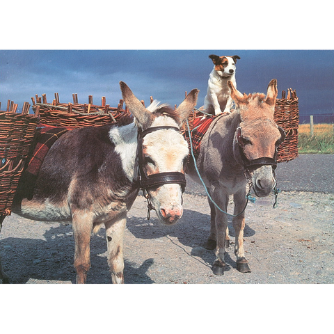 Road to Connemara – 500 Piece Jigsaw Puzzle (HOP)