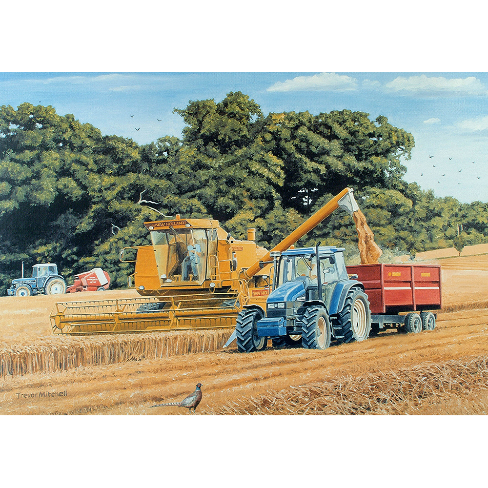 Teamwork – 1000 Piece Jigsaw Puzzle (HOP)