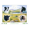 Familiar Faces – 1000 Piece Jigsaw Puzzle (HOP)