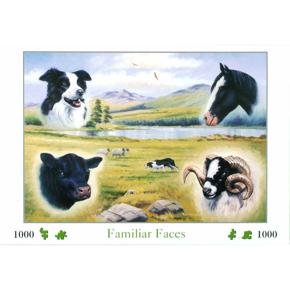 Familiar Faces – 1000 Piece Jigsaw Puzzle (HOP)