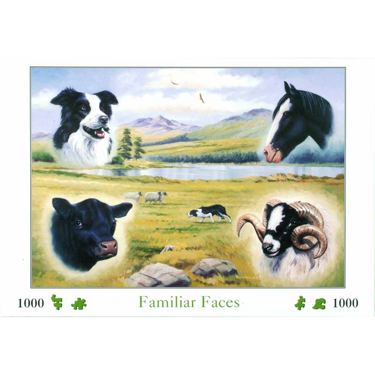 HOP - Familiar Faces - 1000 Piece Jigsaw Puzzle