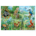 Made up: Nature Study – 250 Piece Jigsaw Puzzle (House of Puzzles)