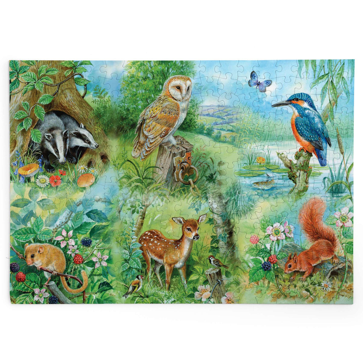 Made up: Nature Study – 250 Piece Jigsaw Puzzle (House of Puzzles)