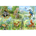 Nature Study – 250 Piece Jigsaw Puzzle (HOP)