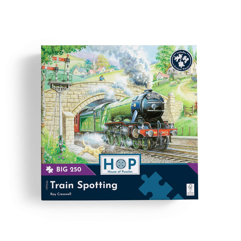 Box, straight on: Train Spotting – 250 Piece Jigsaw Puzzle (House of Puzzles)