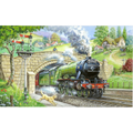 Train Spotting – 250 Piece Jigsaw Puzzle (HOP)