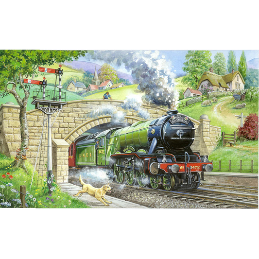 HOP - Train Spotting - BIG 250 Piece Jigsaw Puzzle