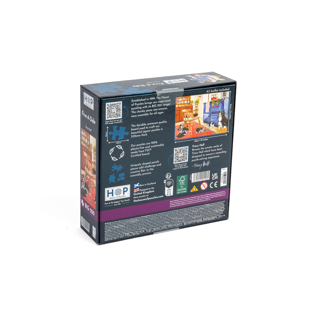 Box back: Five-A-Side – 250 Piece Jigsaw Puzzle (House of Puzzles)