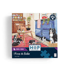Box, straight on: Five-A-Side – 250 Piece Jigsaw Puzzle (House of Puzzles)