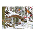 Winter Wood – 500 Piece Jigsaw Puzzle (HOP)