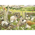 Hide & Seek – 1000 Piece Jigsaw Puzzle (HOP)
