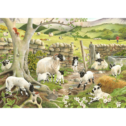 HOP - Hide & Seek - 1000 Piece Jigsaw Puzzle