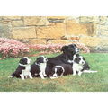 Mother's Pride – 500 Piece Jigsaw Puzzle (HOP)