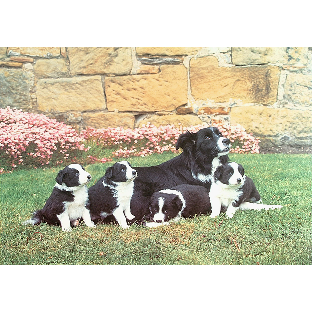 Mother's Pride – 500 Piece Jigsaw Puzzle (HOP)