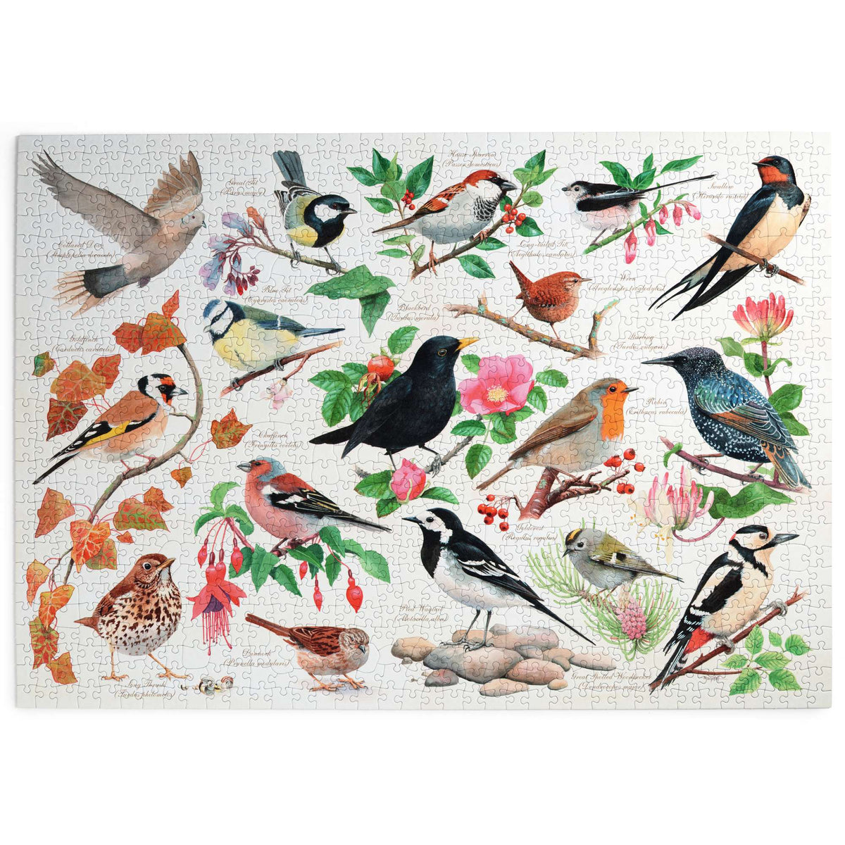 Made up: Birds In My Garden – 1000 Piece Jigsaw Puzzle (House of Puzzles)