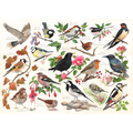 Birds In My Garden – 1000 Piece Jigsaw Puzzle (HOP)