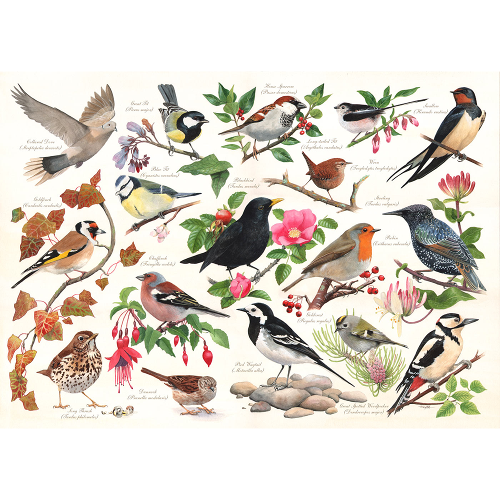 HOP - Birds In My Garden - 1000 Piece Jigsaw Puzzle