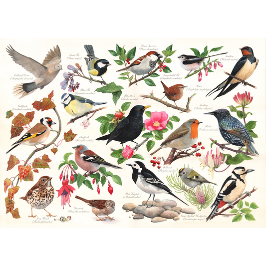 HOP - Birds In My Garden - 1000 Piece Jigsaw Puzzle