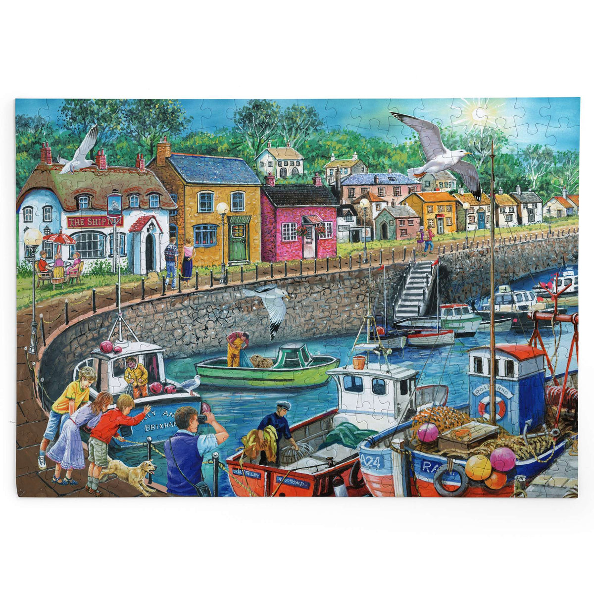 Made up: Seagull View – 250 Piece Jigsaw Puzzle (House of Puzzles)