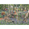 Walk In The Woods – 1000 Piece Jigsaw Puzzle (HOP)