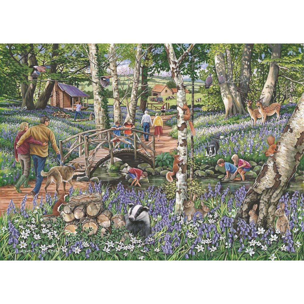 Walk In The Woods – 1000 Piece Jigsaw Puzzle (HOP)