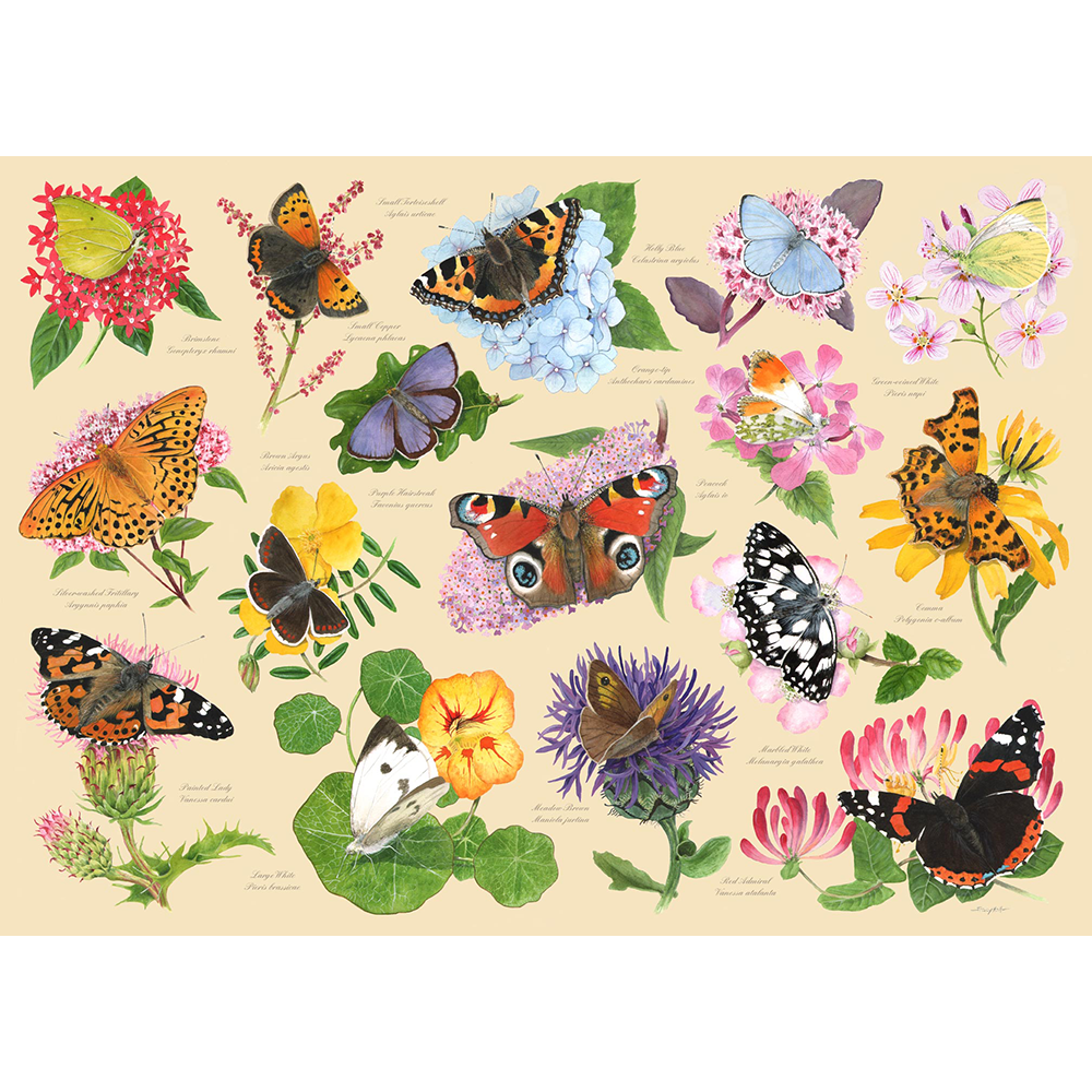 HOP - Garden Butterflies - 1000 Piece Jigsaw Puzzle