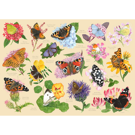 HOP - Garden Butterflies - 1000 Piece Jigsaw Puzzle