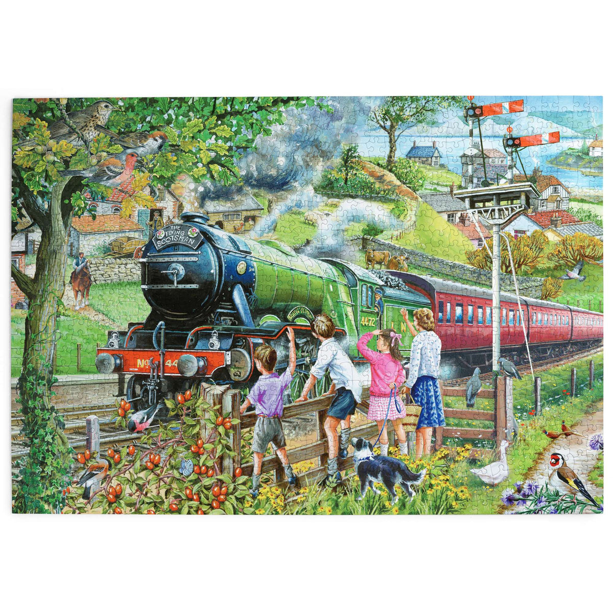 Made up: Full Steam Ahead – 1000 Piece Jigsaw Puzzle (House of Puzzles)