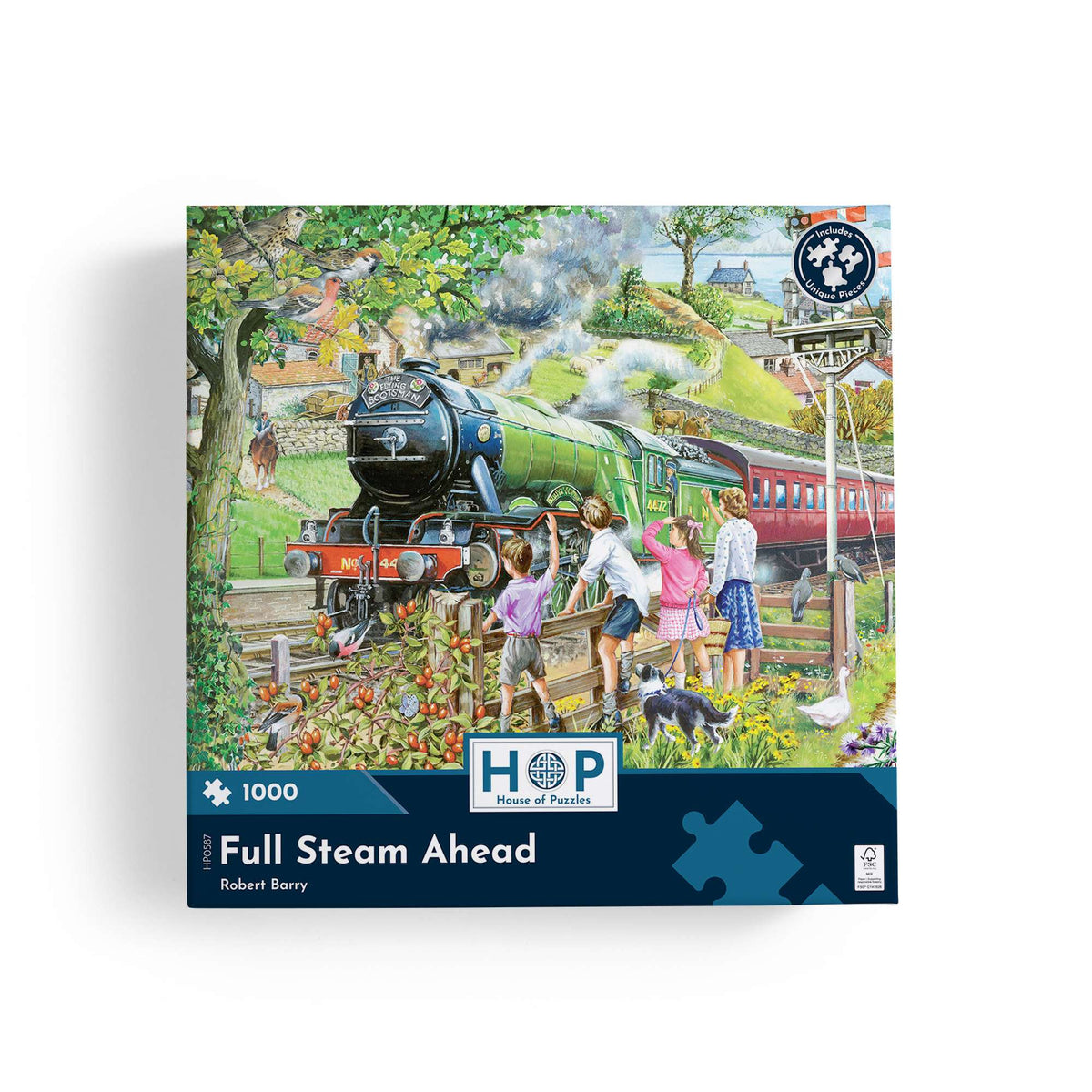 Box, straight on: Full Steam Ahead – 1000 Piece Jigsaw Puzzle (House of Puzzles)