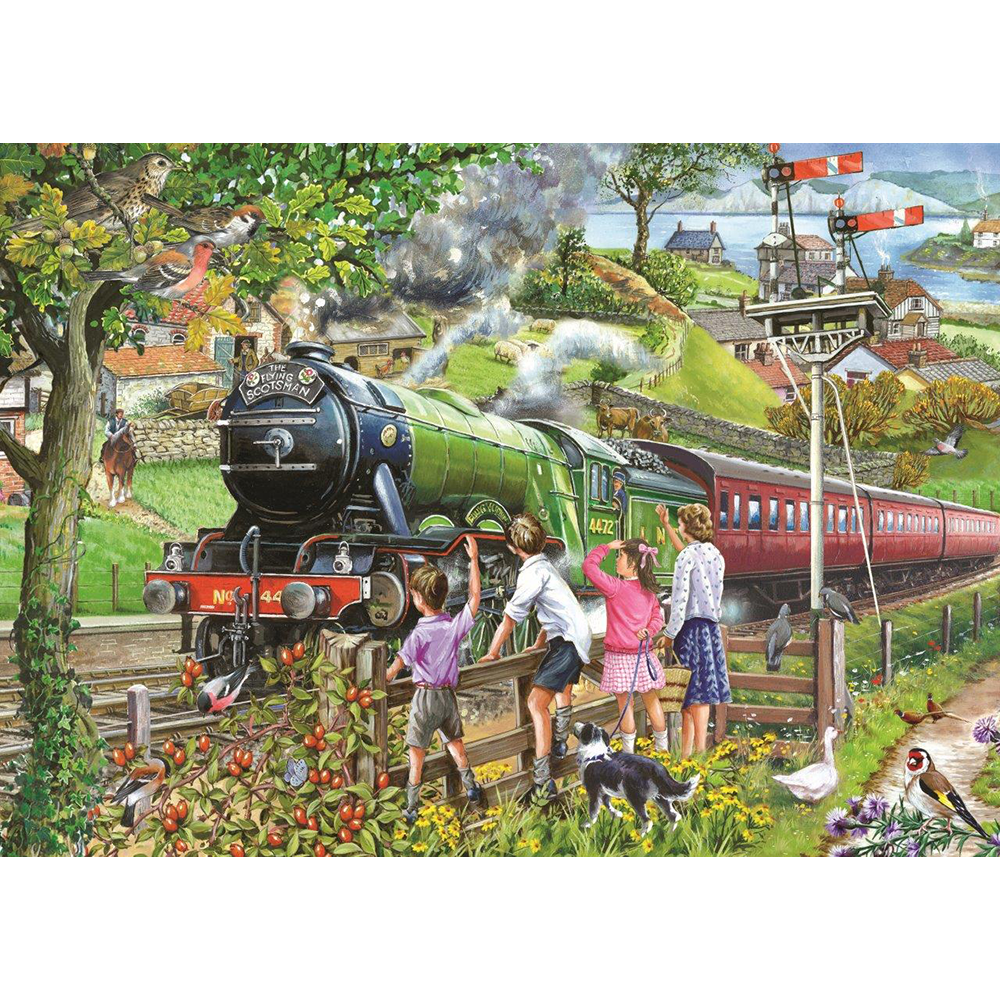 HOP - Full Steam Ahead - 1000 Piece Jigsaw Puzzle