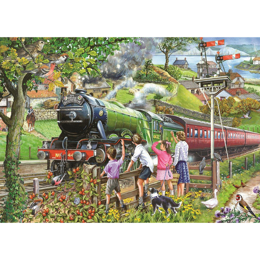 HOP - Full Steam Ahead - 1000 Piece Jigsaw Puzzle