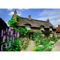 Delightful Dales – 1000 Piece Jigsaw Puzzle (HOP)