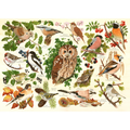 Woodland Birds – 500 XL Piece Jigsaw Puzzle (HOP)