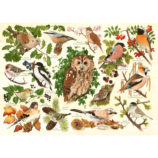 HOP - Woodland Birds - BIG 500 Piece Jigsaw Puzzle