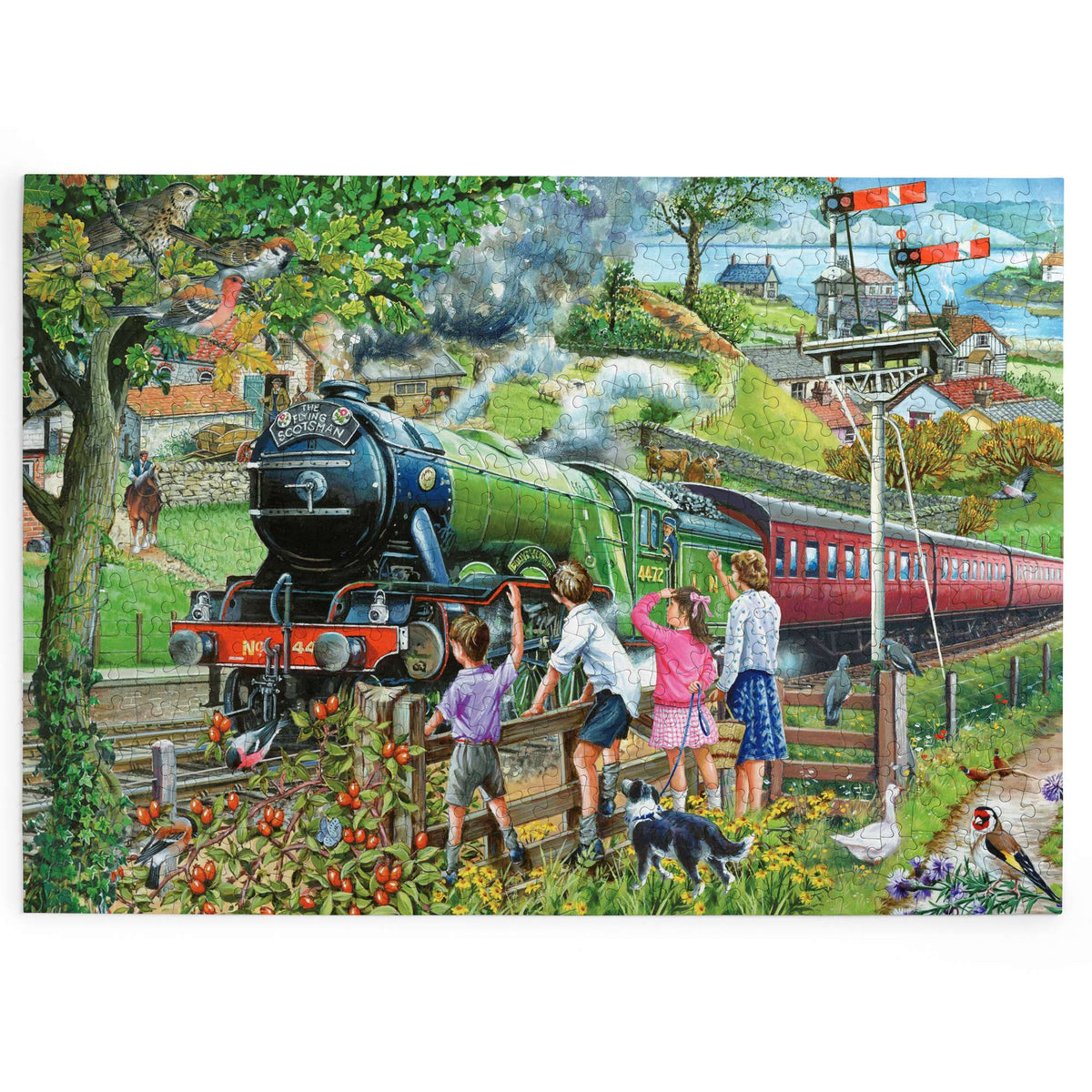 Made up: Full Steam Ahead – 500 XL Piece Jigsaw Puzzle (House of Puzzles)