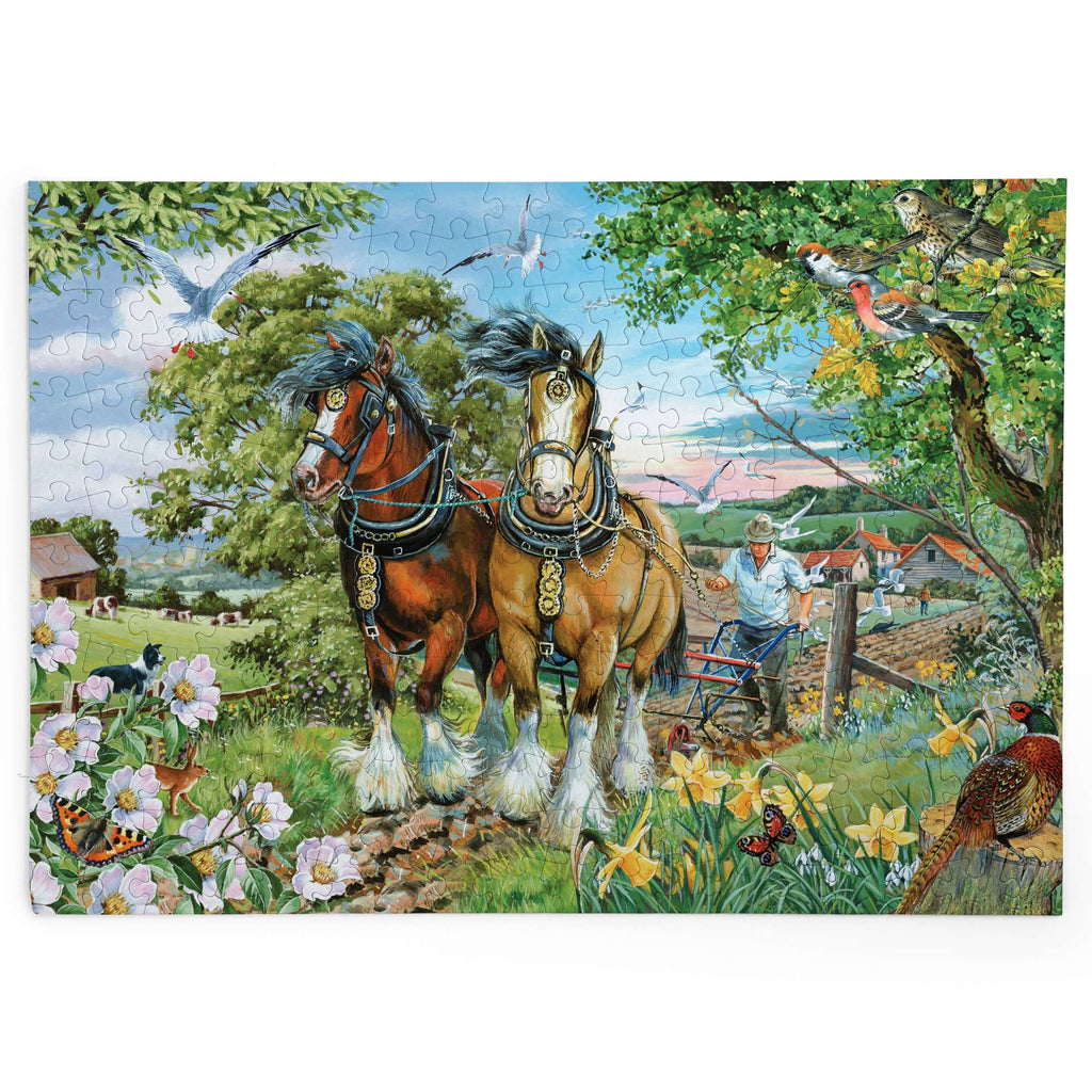 Made up: Strength & Beauty by Barry Hall – 250 Piece XL Jigsaw Puzzle (House of Puzzles)