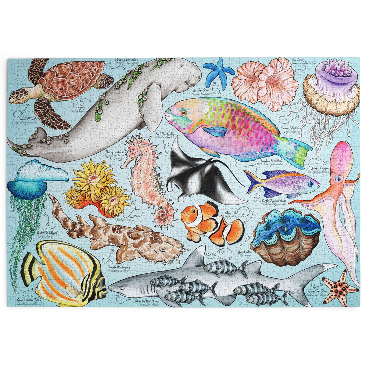 Made up: Great Barrier Reef by Mirri Rowland - 1000 Piece Jigsaw Puzzle (House of Puzzles)