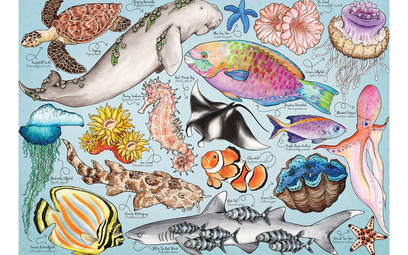 Animals & Wildlife image