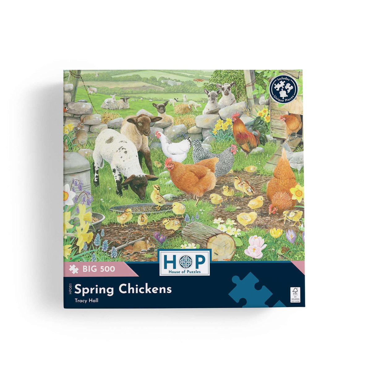Box, straight on: Spring Chickens by Tracy Hall - 500 XL Piece Jigsaw Puzzle (House of Puzzles)