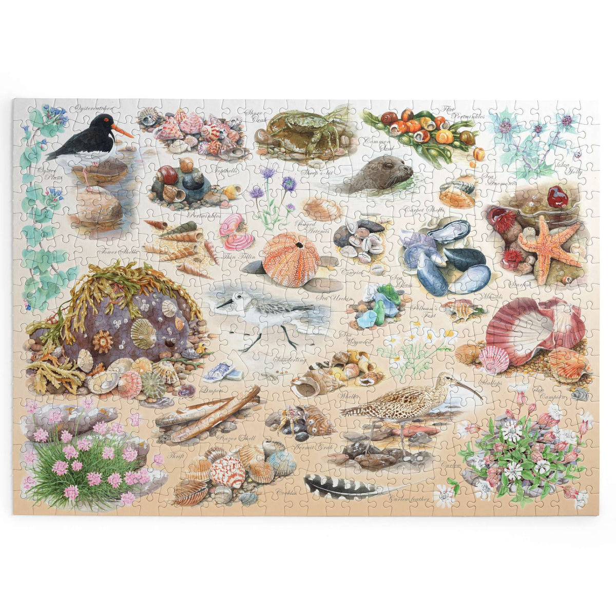 Made up: Sea Shore by Tracy Hall - Big 500 Piece Jigsaw Puzzle (House of Puzzles)