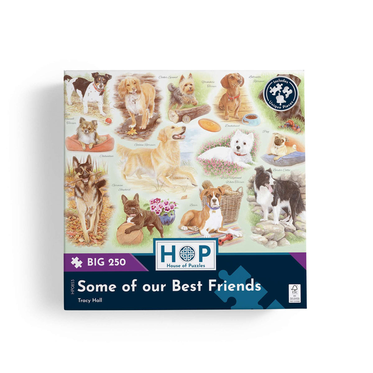 Box, straight on: Some of our Best Friends by Tracy Hall - 250 Piece Big Jigsaw Puzzle (House of Puzzles)