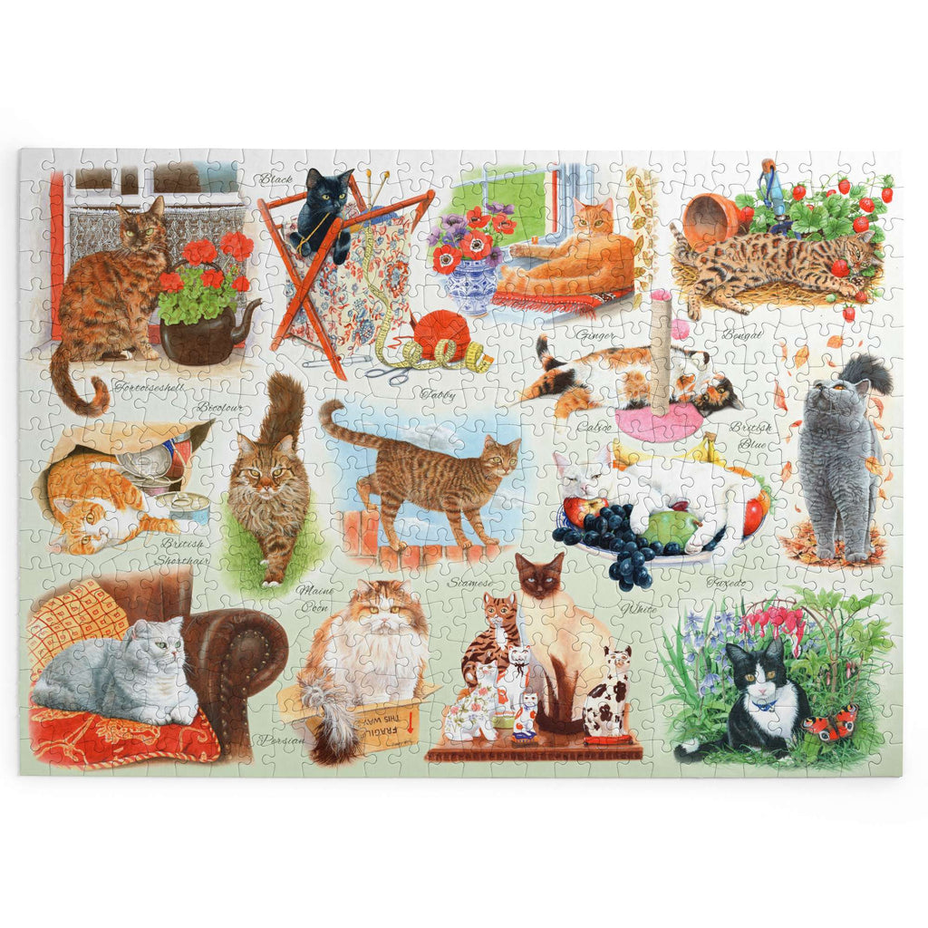 Made up: A Clowder of Cats by Tracy Hall - Big 500 Piece Jigsaw Puzzle (House of Puzzles)