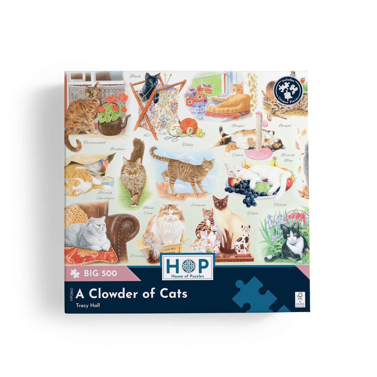 Box, straight on: A Clowder of Cats by Tracy Hall - Big 500 Piece Jigsaw Puzzle (House of Puzzles)
