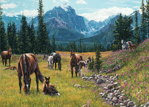 Horse Meadow – 1000 Piece Jigsaw Puzzle (Cobble Hill)