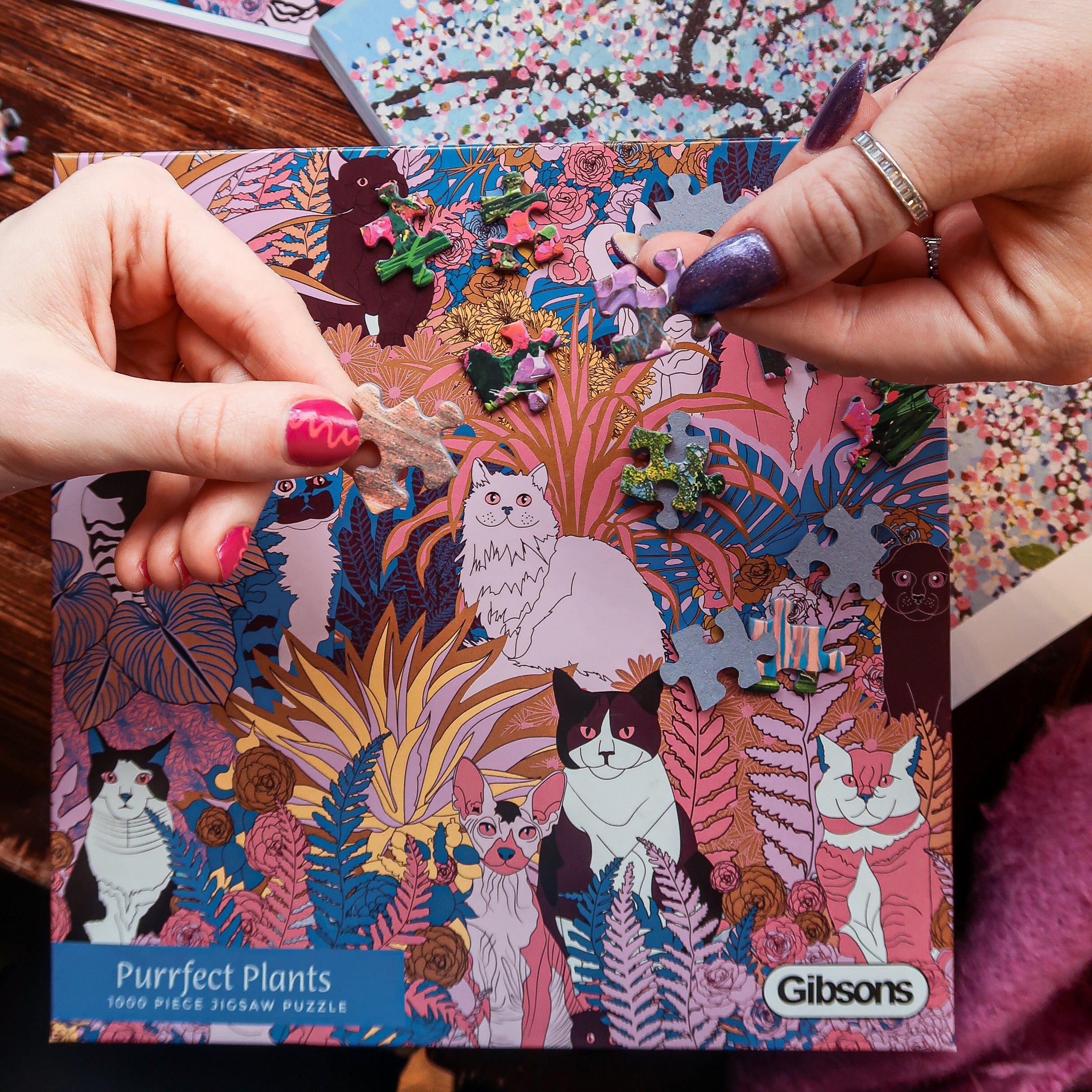 Purrfect Plants – 1000 Piece Jigsaw Puzzle (Gibsons)
