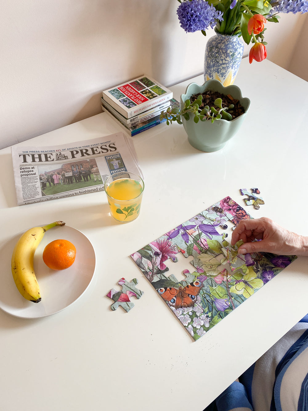 The Garden – 24 XL Piece Jigsaw Puzzle (Gibsons)